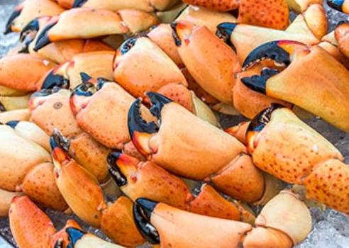 King Crab