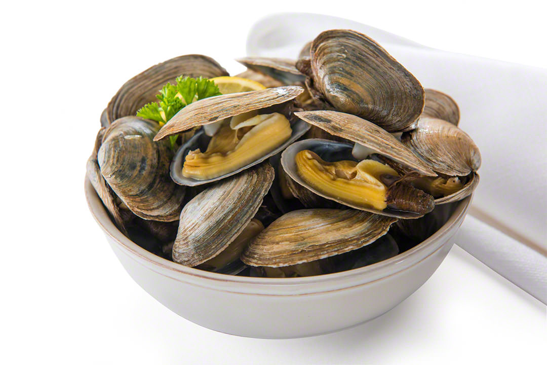 Clams