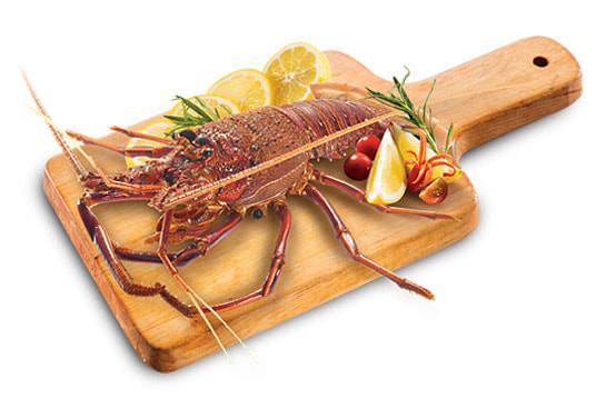 Lobster