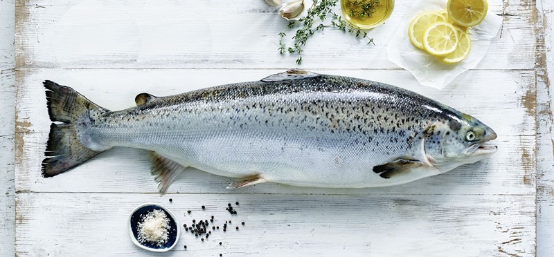 Whole Salmon